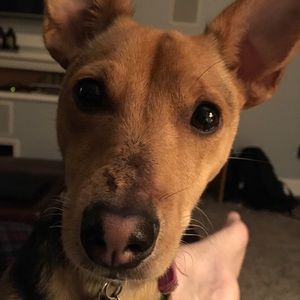 Meet your Posher, Mark